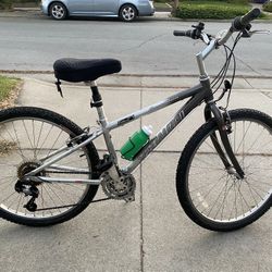 Specialized Expedition Bike