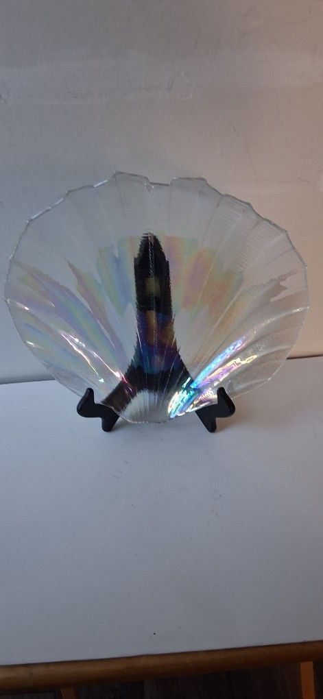 Rainbow Shell Art Plate