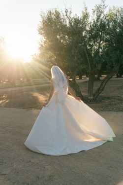 Wedding Veil