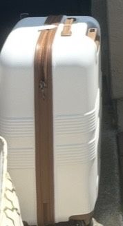 Delsey Luggage Spinner