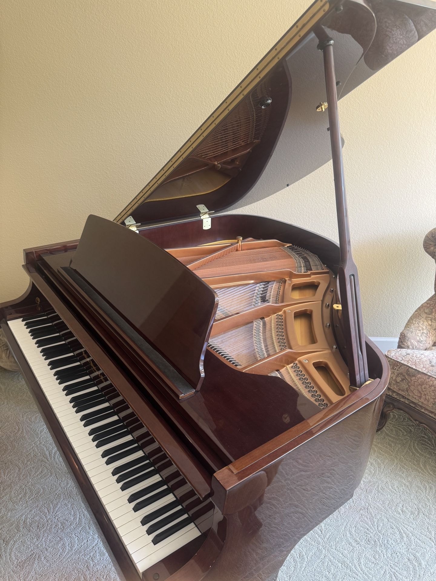 Hallet, Davis & Co. Grand Piano – Excellent Condition