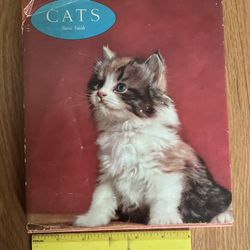 Book - Cats - Hardcover Cat Picture Book