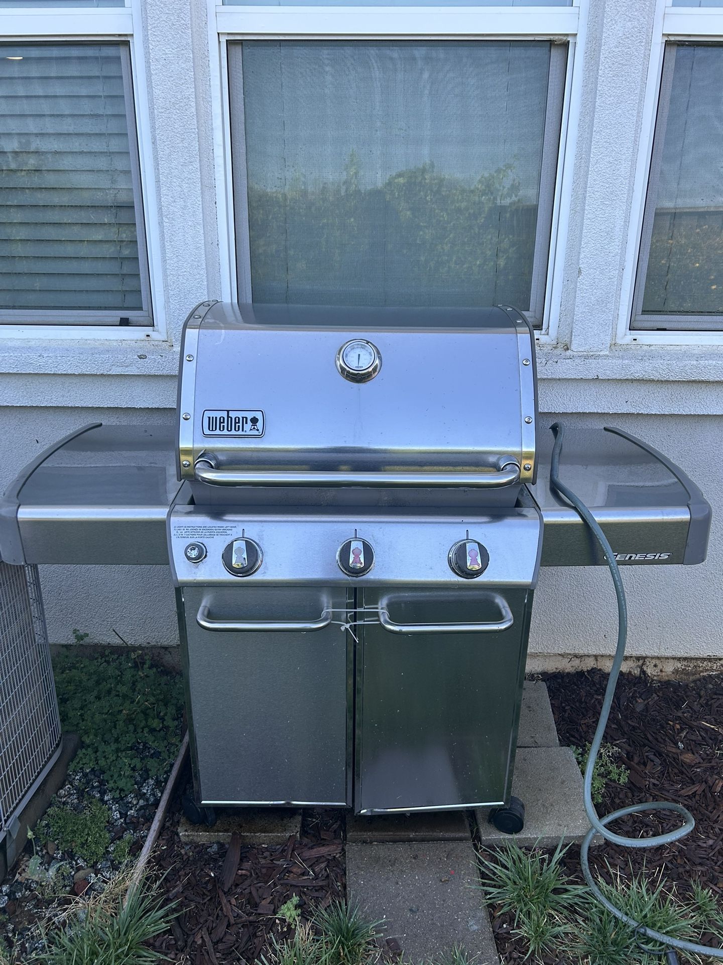 Weber Gas grill