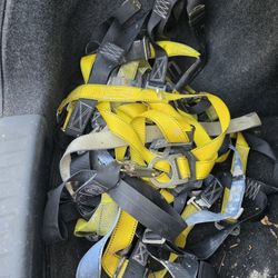 Painter Harness 