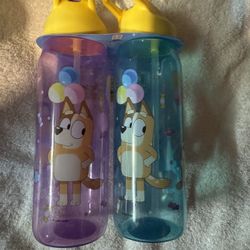 Bluey Bottle