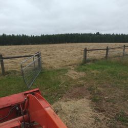 baled hay in field