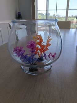 Fish glass acquarium and 2 accessories