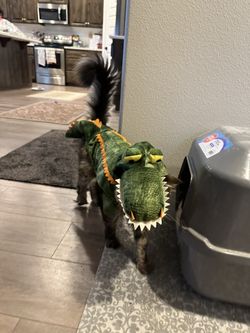 Crocodile Cat/Dog Costume - Small