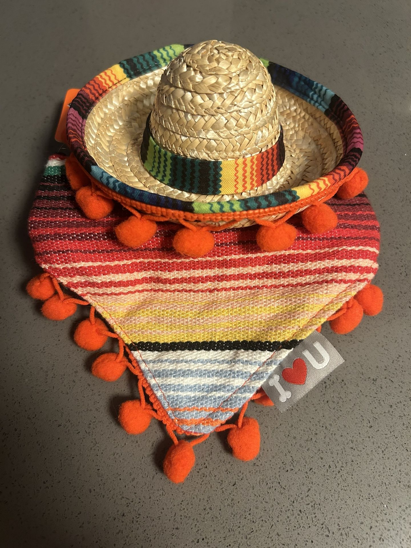 NEW Pet Sombrero And Poncho Costume