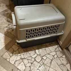 Dog Kennel