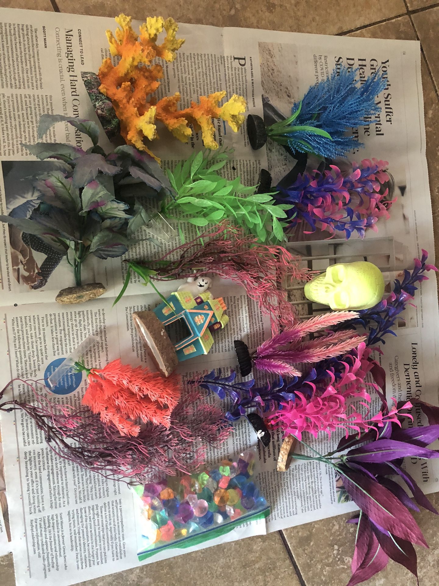 Aquarium Decorations