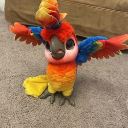 Fur Real Parrot 