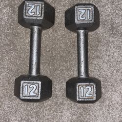 12 Lbs Weights