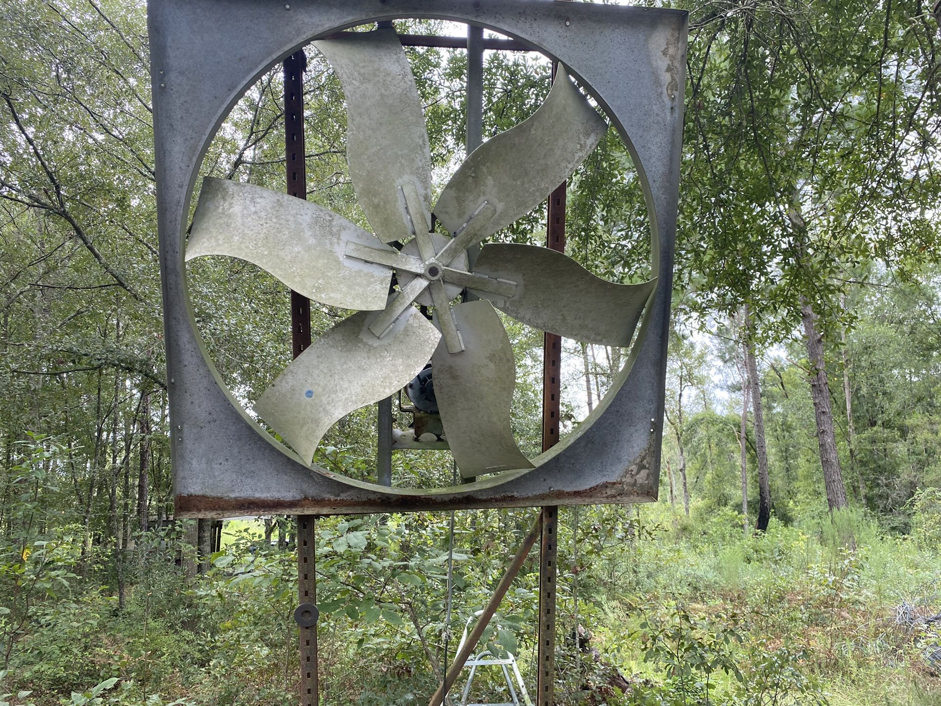 Fan Old