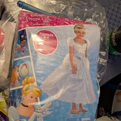 Cinderella Costume With Wig and Accessories..Halloween Or Pretend Play