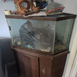 55 Gallon Aquarium And 30 Gallon Aquarium With Stands 