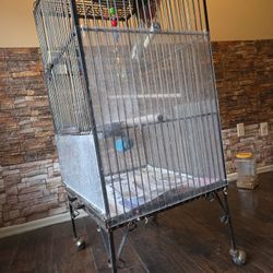 Parrot Cage 