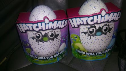 Hatchimals