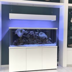 Aquarium For Sale