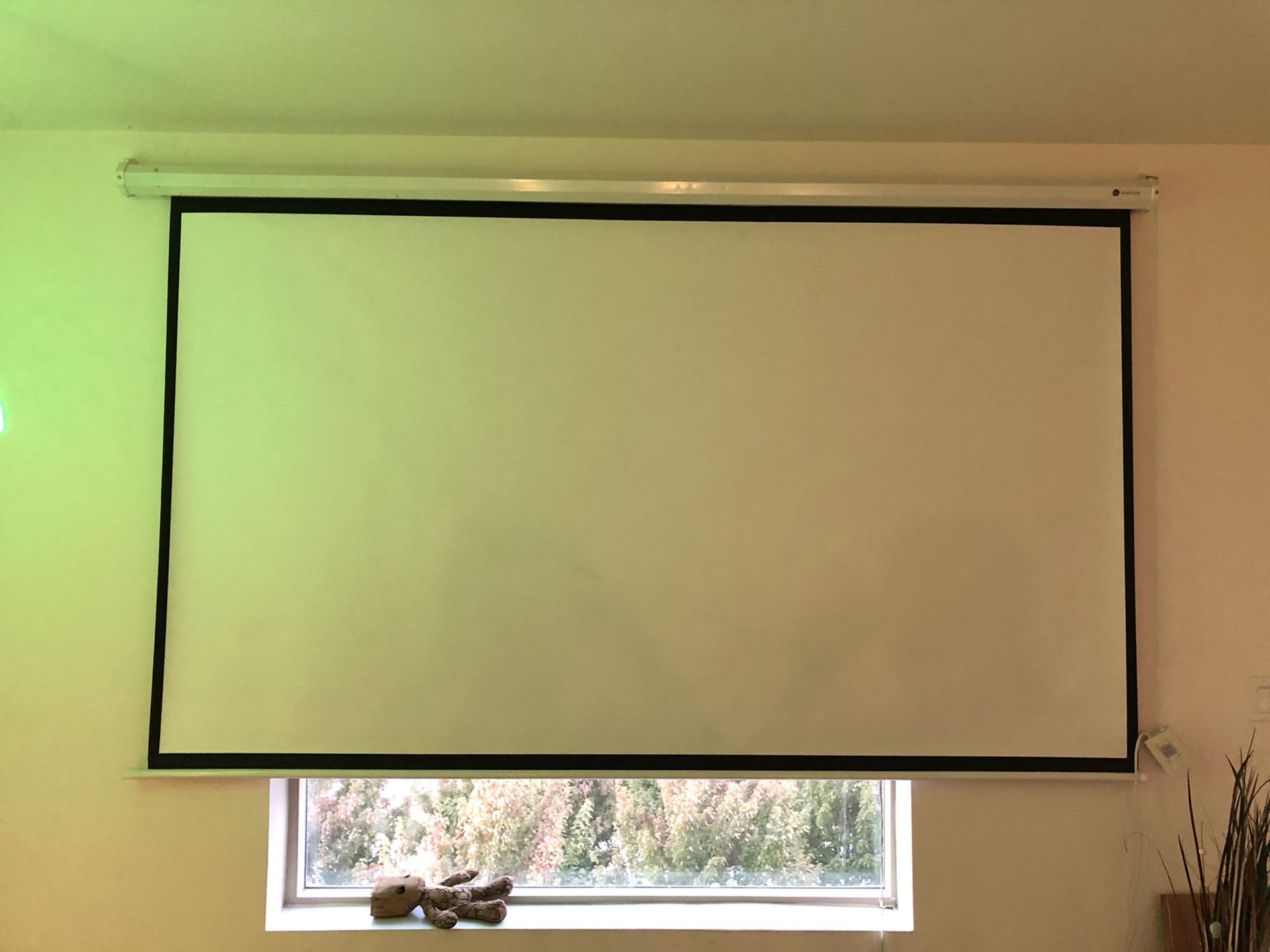 Automated movie projector screen