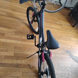 Kobra brand 20" rim girl's bicycle