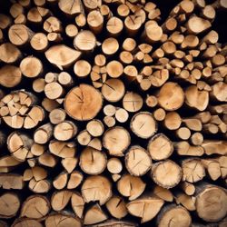FIREWOOD!!!