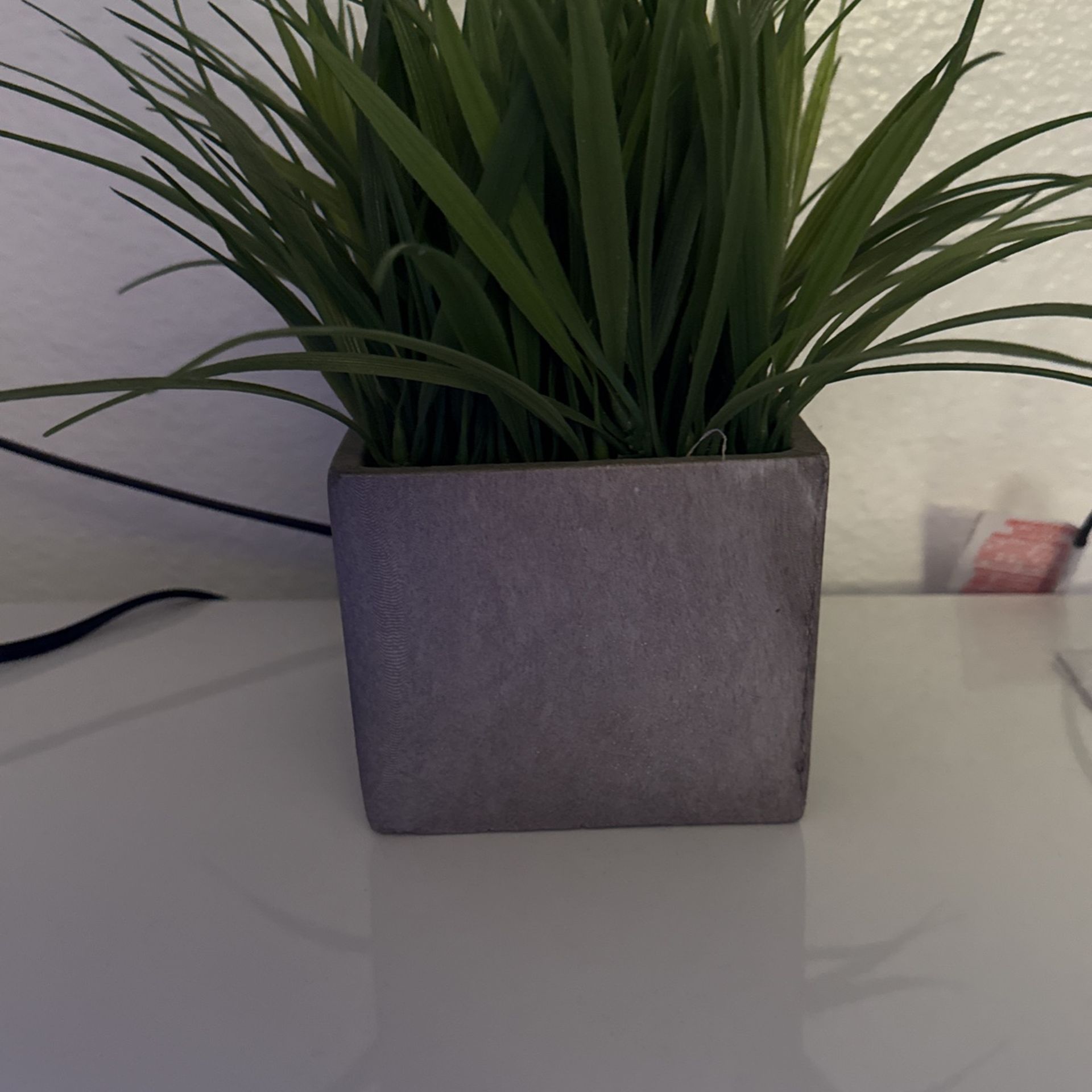 Fake Plant