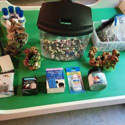 Aquarium and Supplies