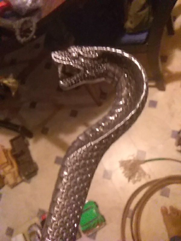 Snake cane