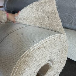 Beige Carpet $480