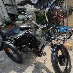 Forte 2000watt 48v  E Trike