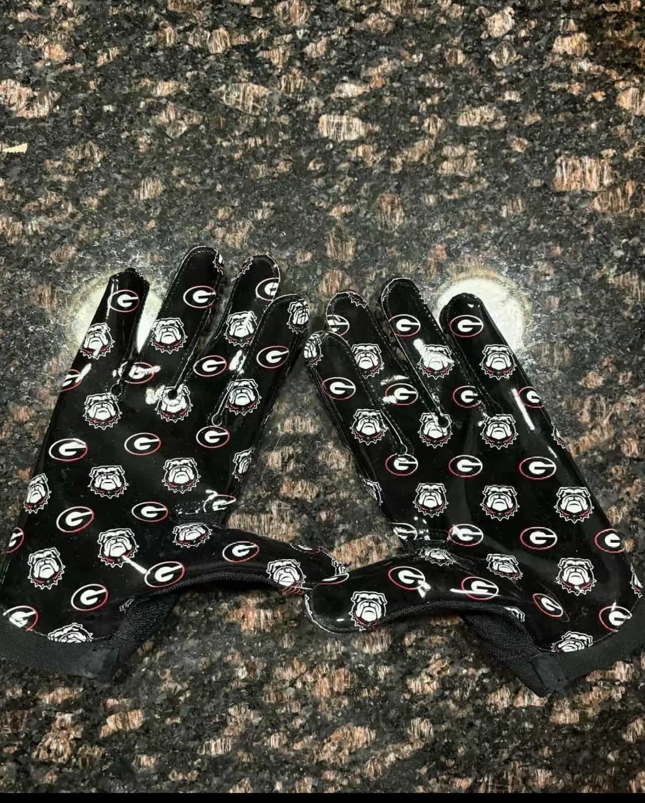 Georgia Bulldogs college glove