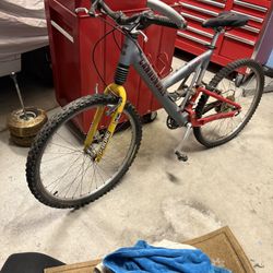 Canondale V900 Mountain Baker Mane In USA