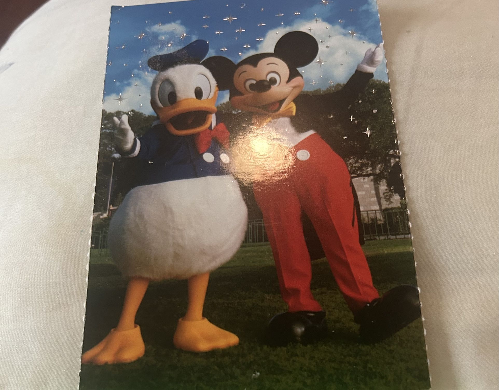 Mickey And Donald Duck Postcard