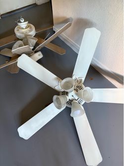 Ceiling Fans