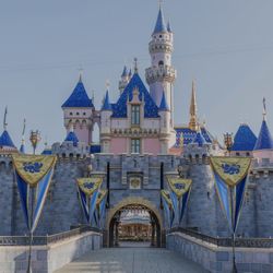 (1) Disneyland Or California Adventure Ticket