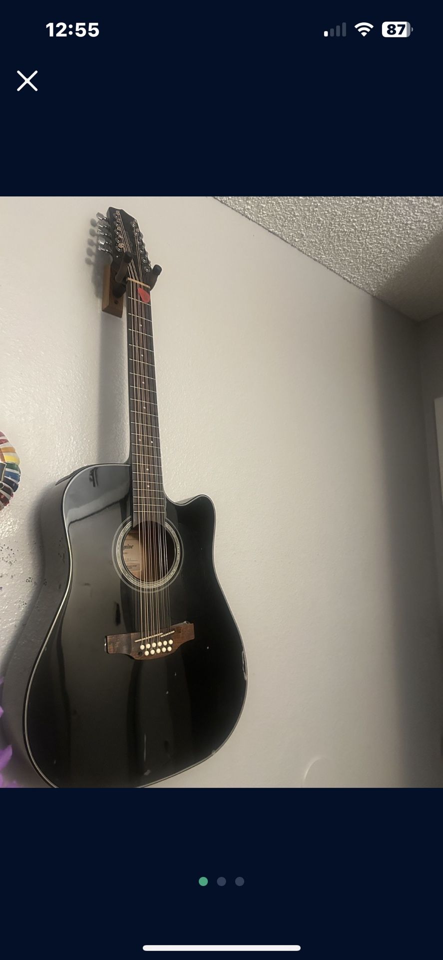 takamine 12 string