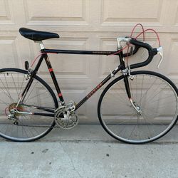 Schwinn super le tour value best sale