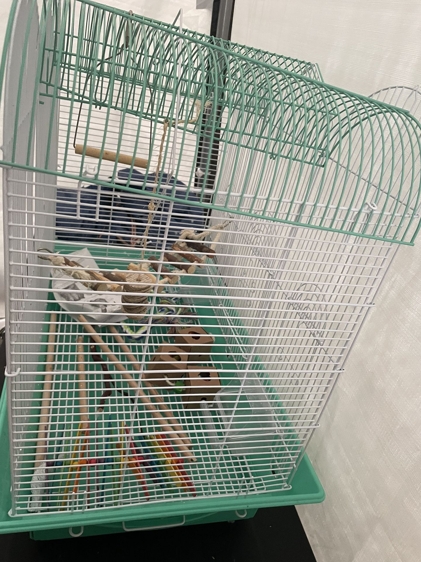 Bird Cage