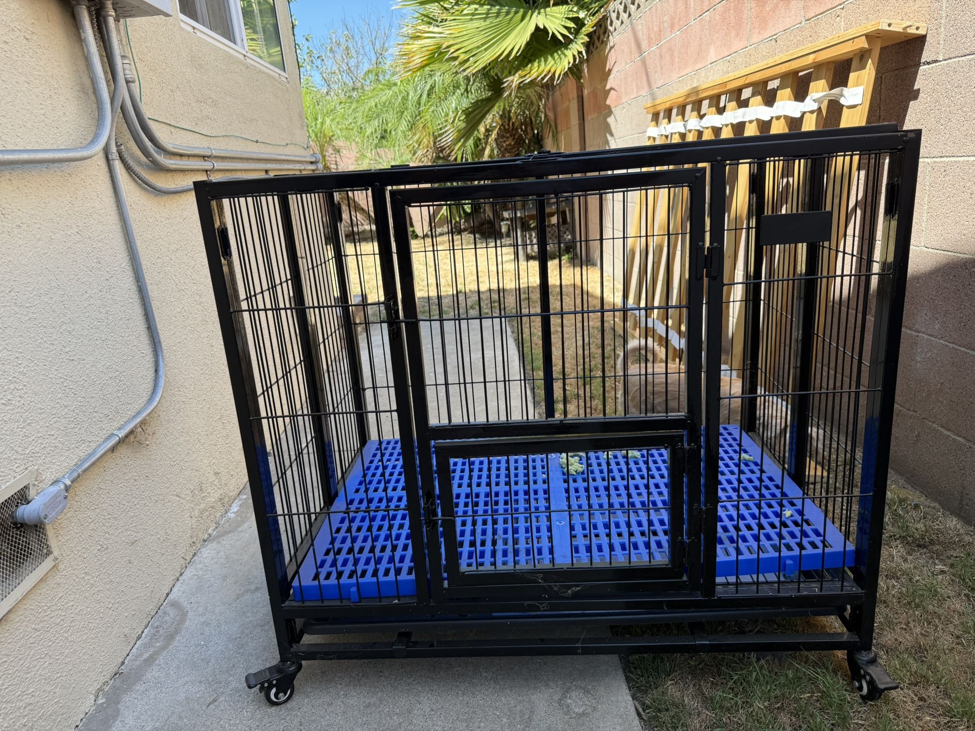 Dog Cage 