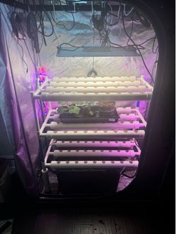 Horizontal Multi Layer NFT Pipe Channel Hydroponics Control System for Vegetables