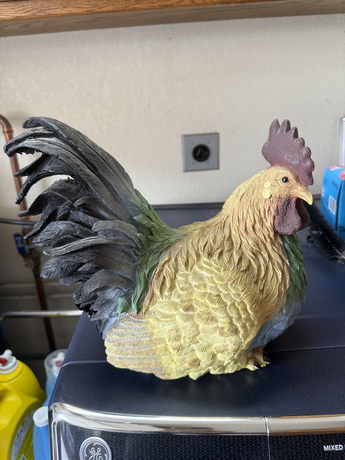 Chicken