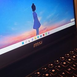 MSI GS66 STELTH Gaming Laptop