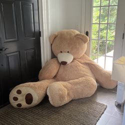 6 Foot Costco Teddy Bear