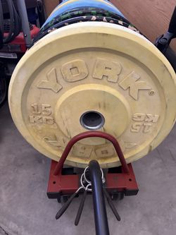 YORK 15kg Bumper Plates