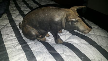PIGGY BANK SOLID