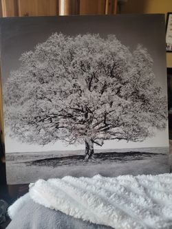 Black And White Tree