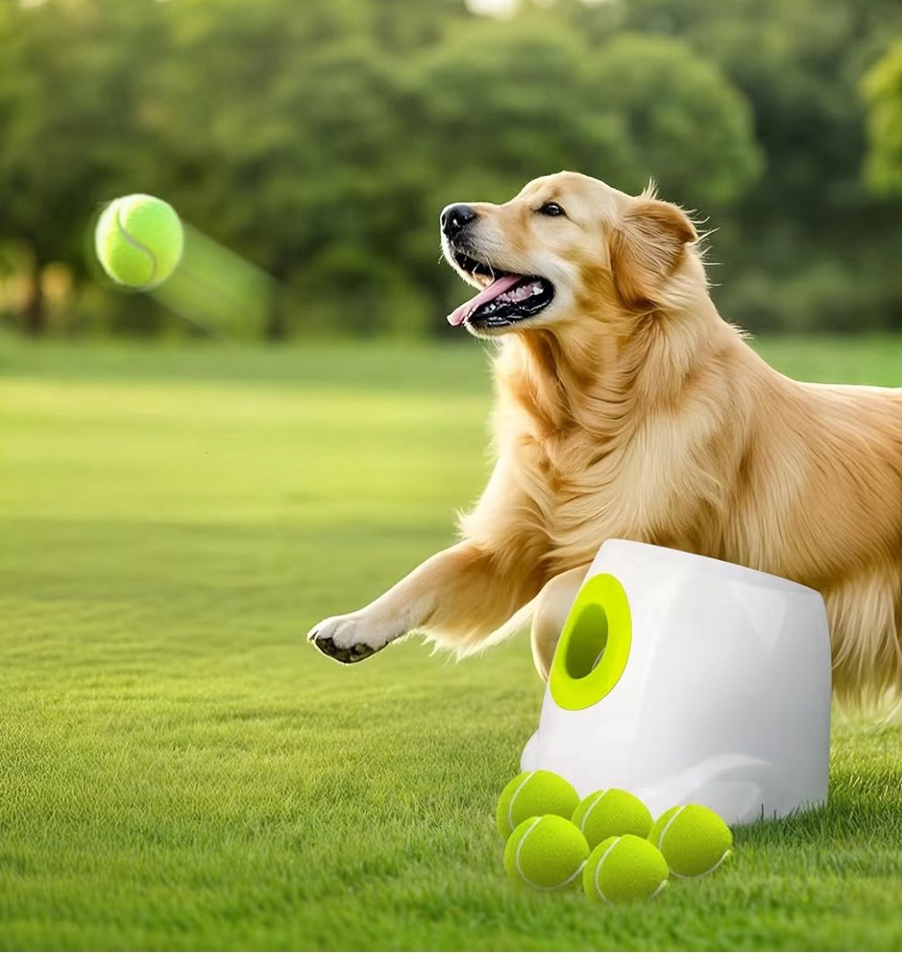 Automatic Ball Launcher for Dogs Interactive Puppy Pet Ball Outdoor Thrower Fetch Machine for Medium to Large