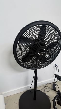 Fan