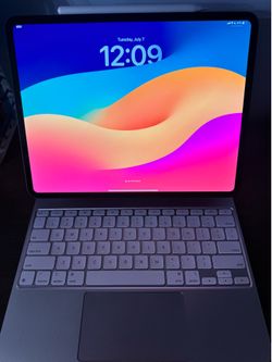 iPad Pro 13in w/ Cellular (M4 Chip)